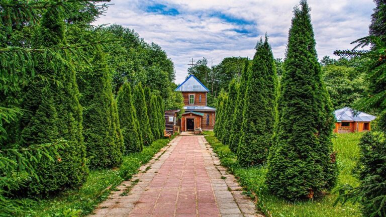 Home
